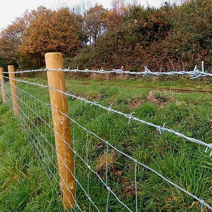 Two line of barbed wires are installed at the top of field fence.