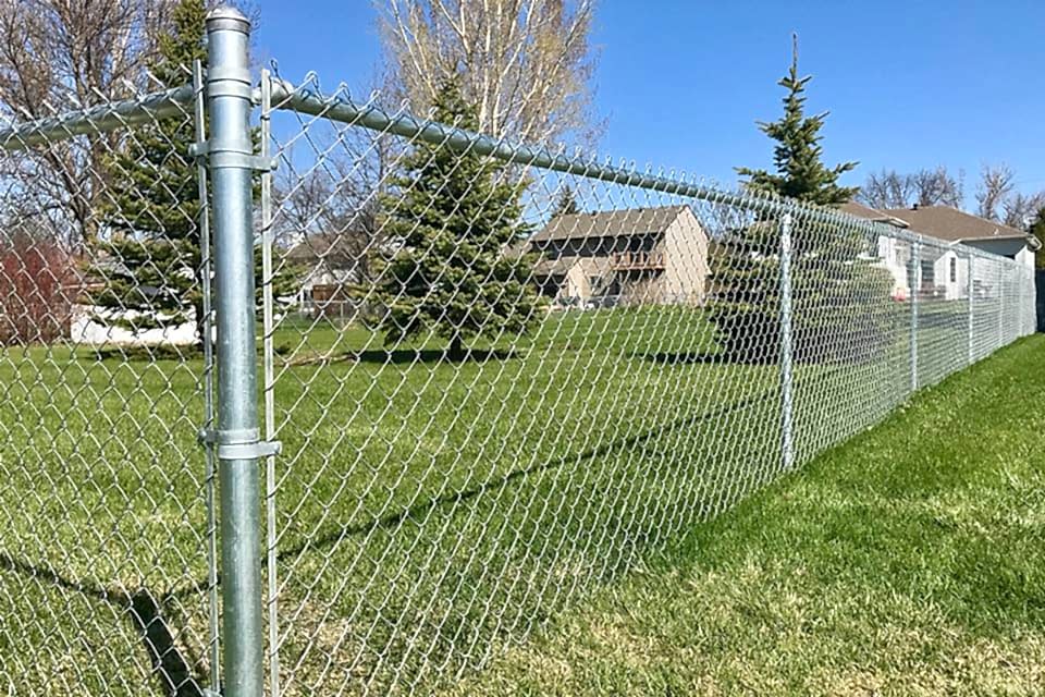 Many trees are planted in a community yard enclosed by galvanized chain link fence.