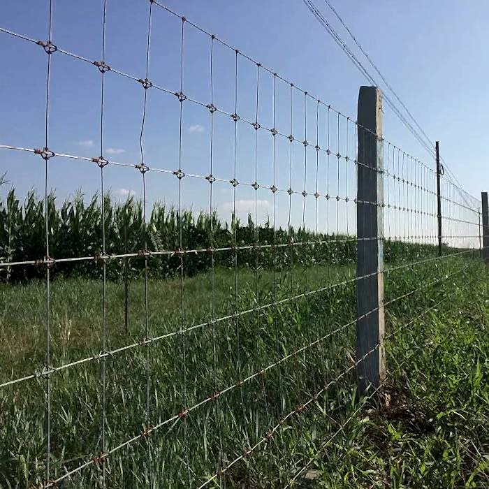 A line of fixed knot deer fence in the farm.