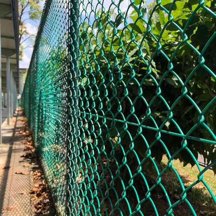 Green chain link fence is placed along the park.