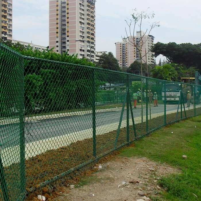 Green chain link fence is placed along the roadside.